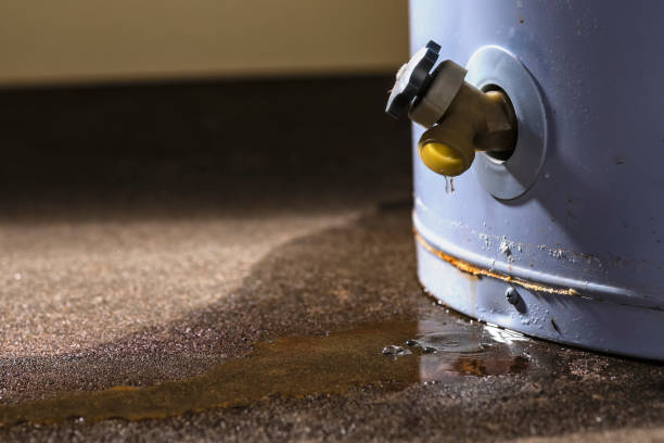  Sea Isle City, NJ Water damage restoration Pros