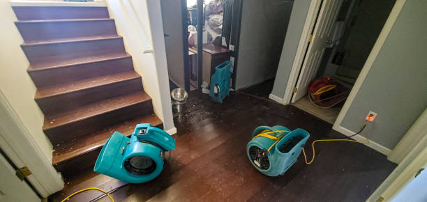 Best Commercial water damage restoration  in Sea Isle City, NJ