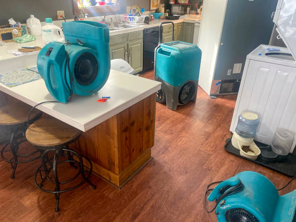 Best Carpet water damage restoration  in Sea Isle City, NJ