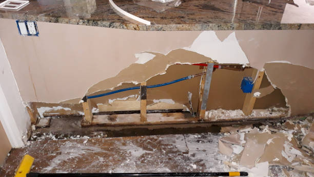 Best Mold removal after water damage  in Sea Isle City, NJ